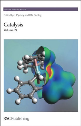 Catalysis (SPR Catalysis (RSC)) (Vol. 19)