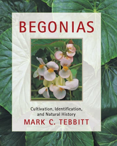 Begonias