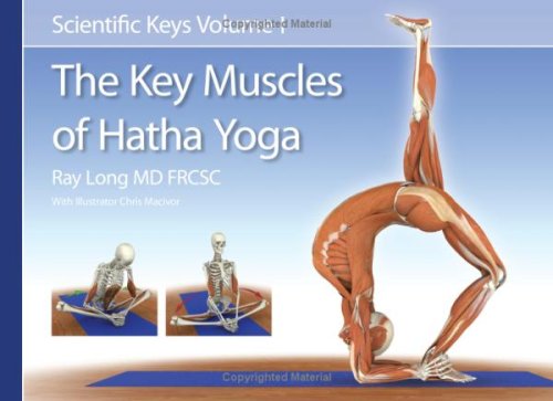 The Key Muscles of Hatha Yoga