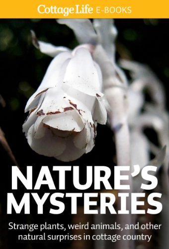 Nature's Mysteries