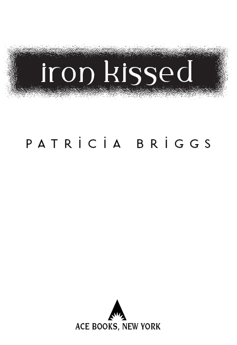 Iron Kissed