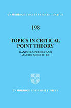 Topics in Critical Point Theory