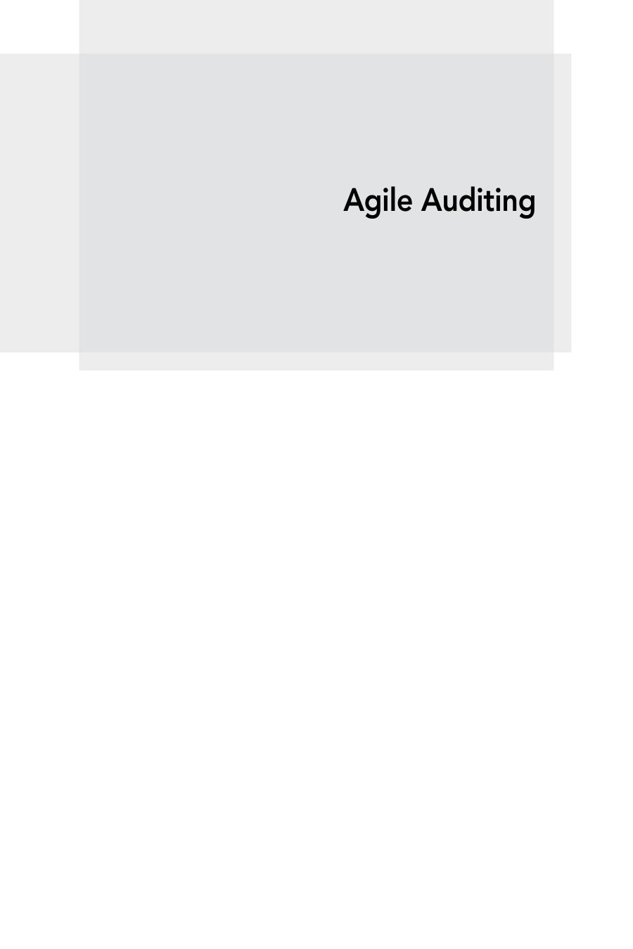 Agile Auditing