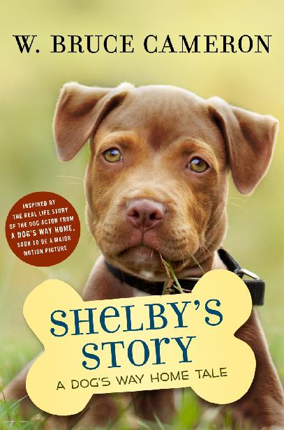 Shelby's Story