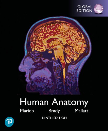 Human Anatomy