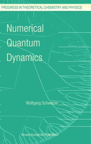 Numerical Quantum Dynamics