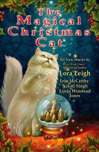 The Magical Christmas Cat