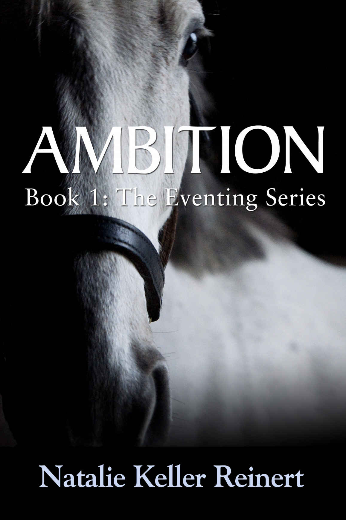 Ambition