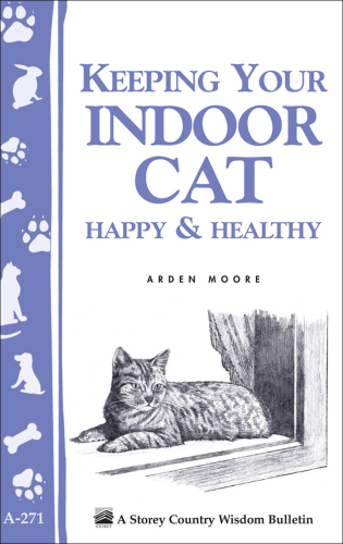 Keeping Your Indoor Cat Happy  Healthy