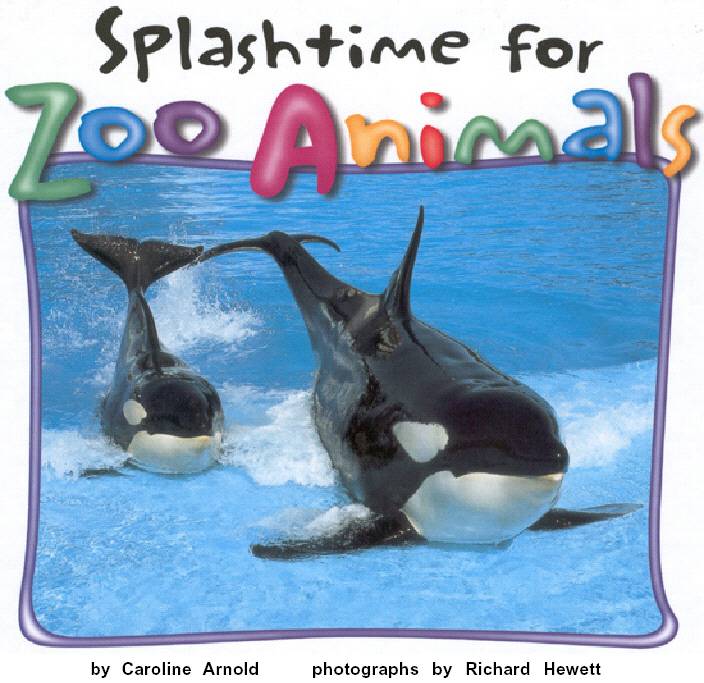 Splashtime for Zoo Animals