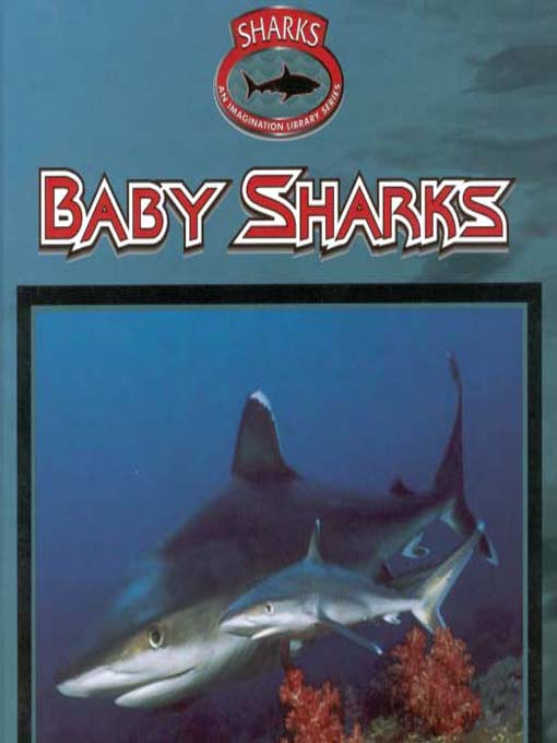 Sharks: Baby Sharks