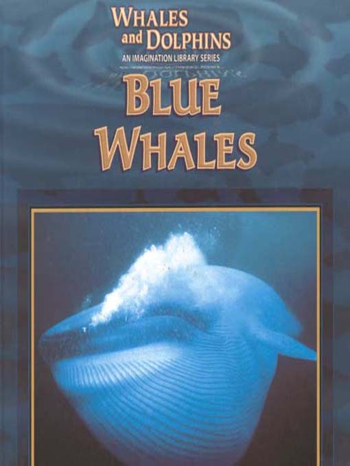 Whales and Dolphins: Blue Whales