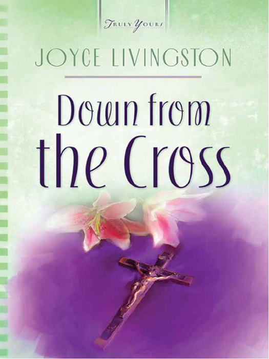 Down from the Cross (Rhode Island Weddings Series #1)