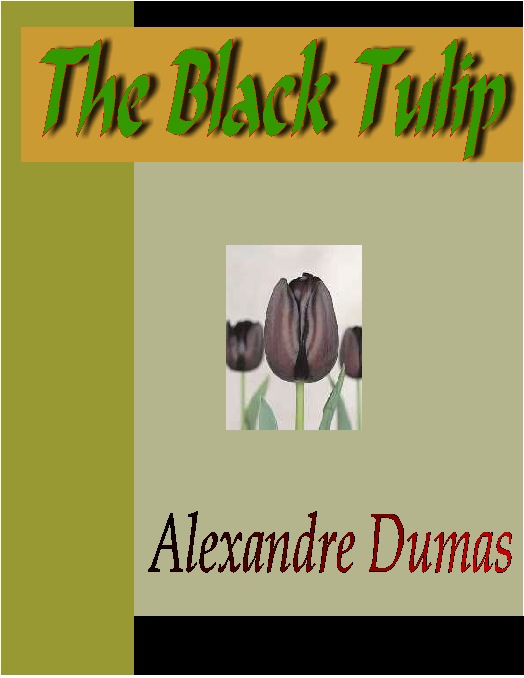 The Black Tulip