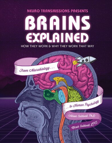Brains Explained