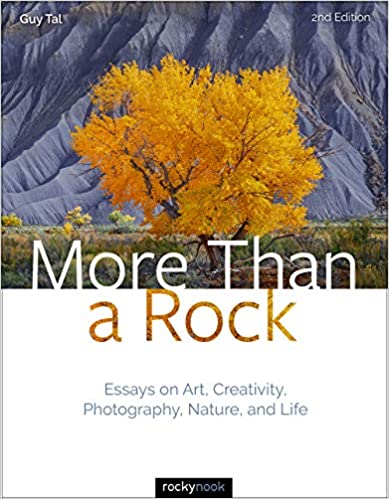 More Than a Rock, 2nd Edition