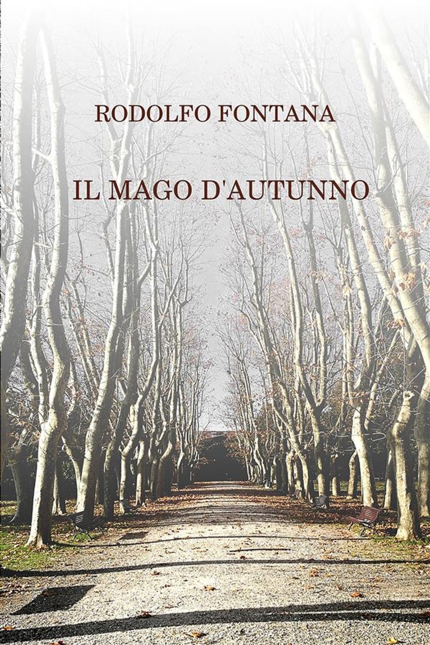 IL MAGO D'AUTUNNO