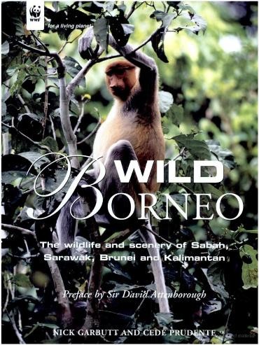 Wild Borneo