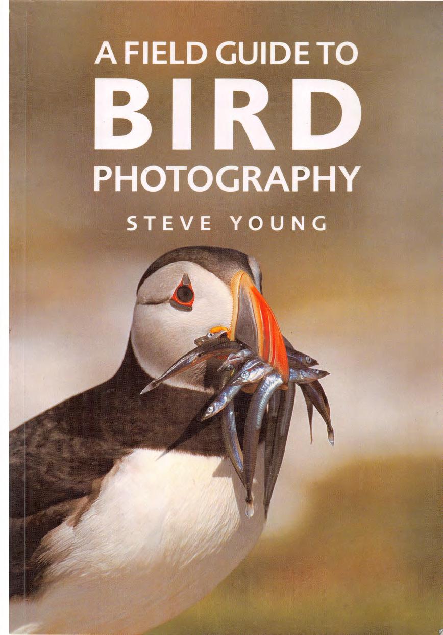 A Field Guide to Bird Photography