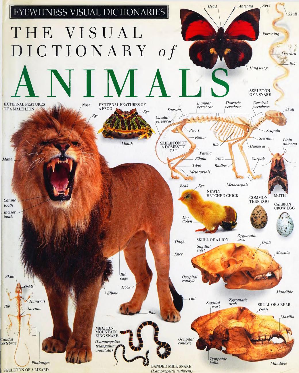 The Visual Dictionary of Animals