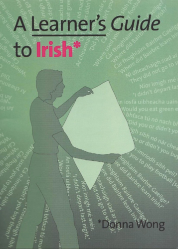 A Learner's Guide To Irish