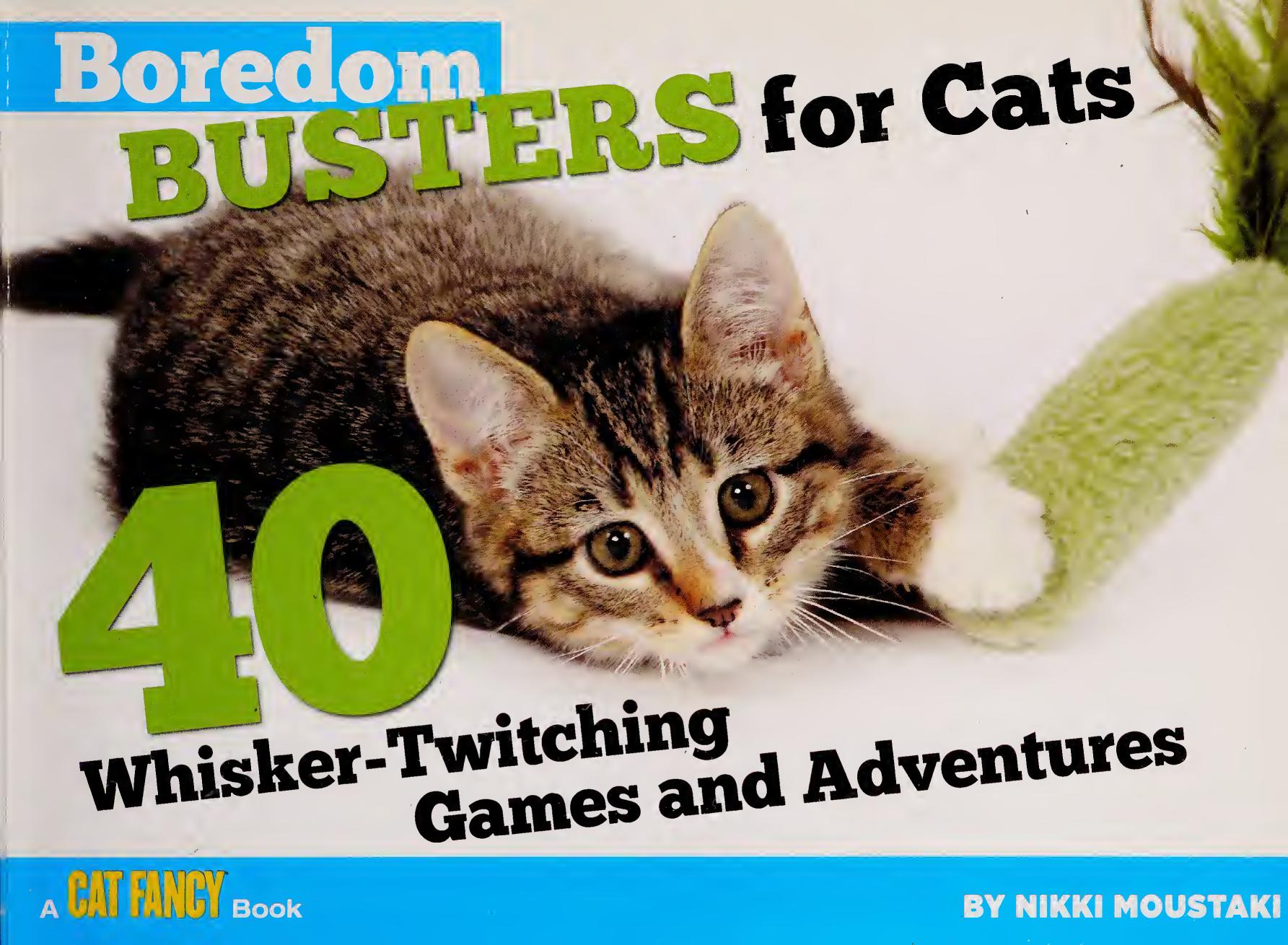 Boredom Busters for Cats