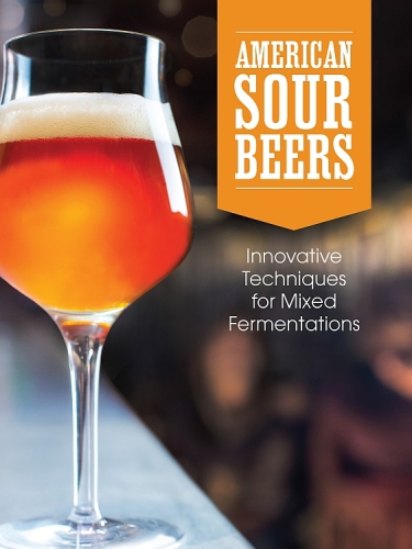 American Sour Beer