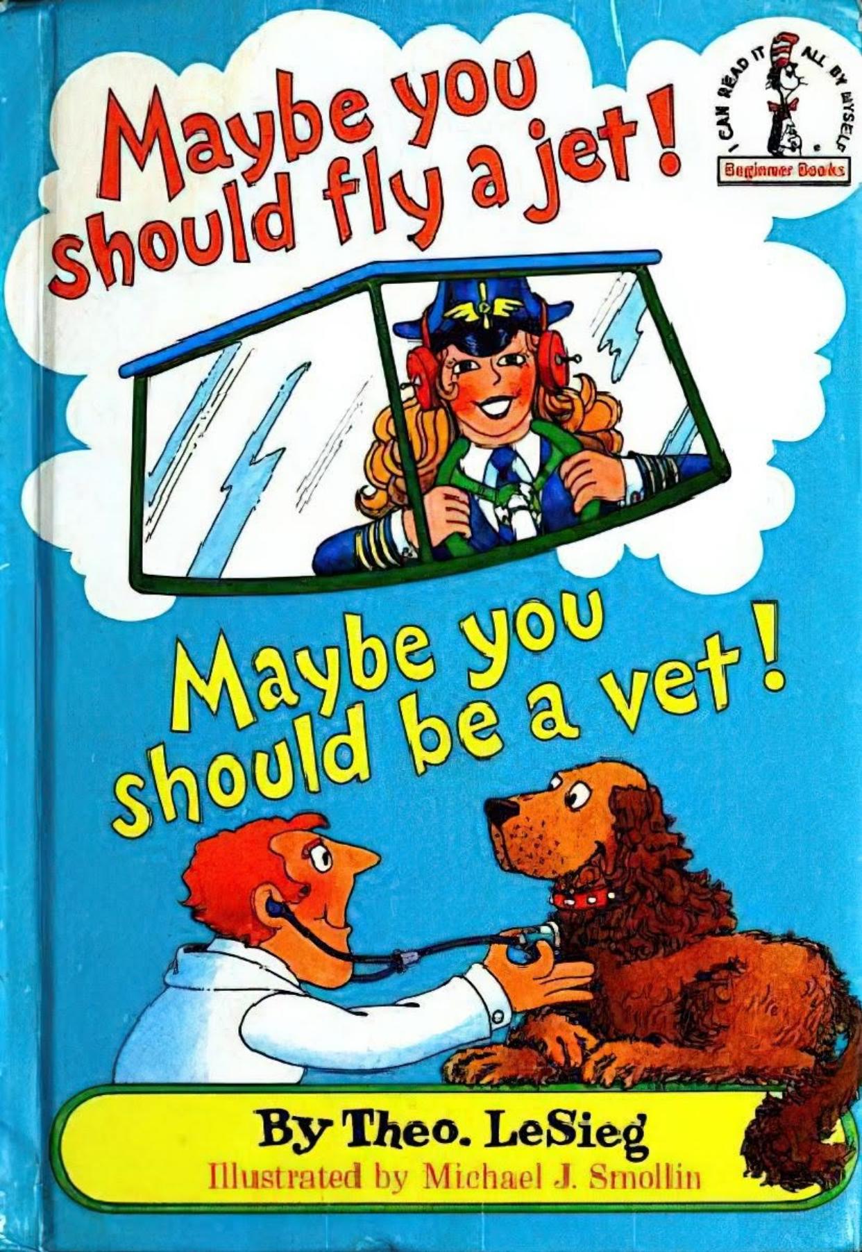 Maybe You Should Fly a Jet! Maybe You Should Be a Vet!