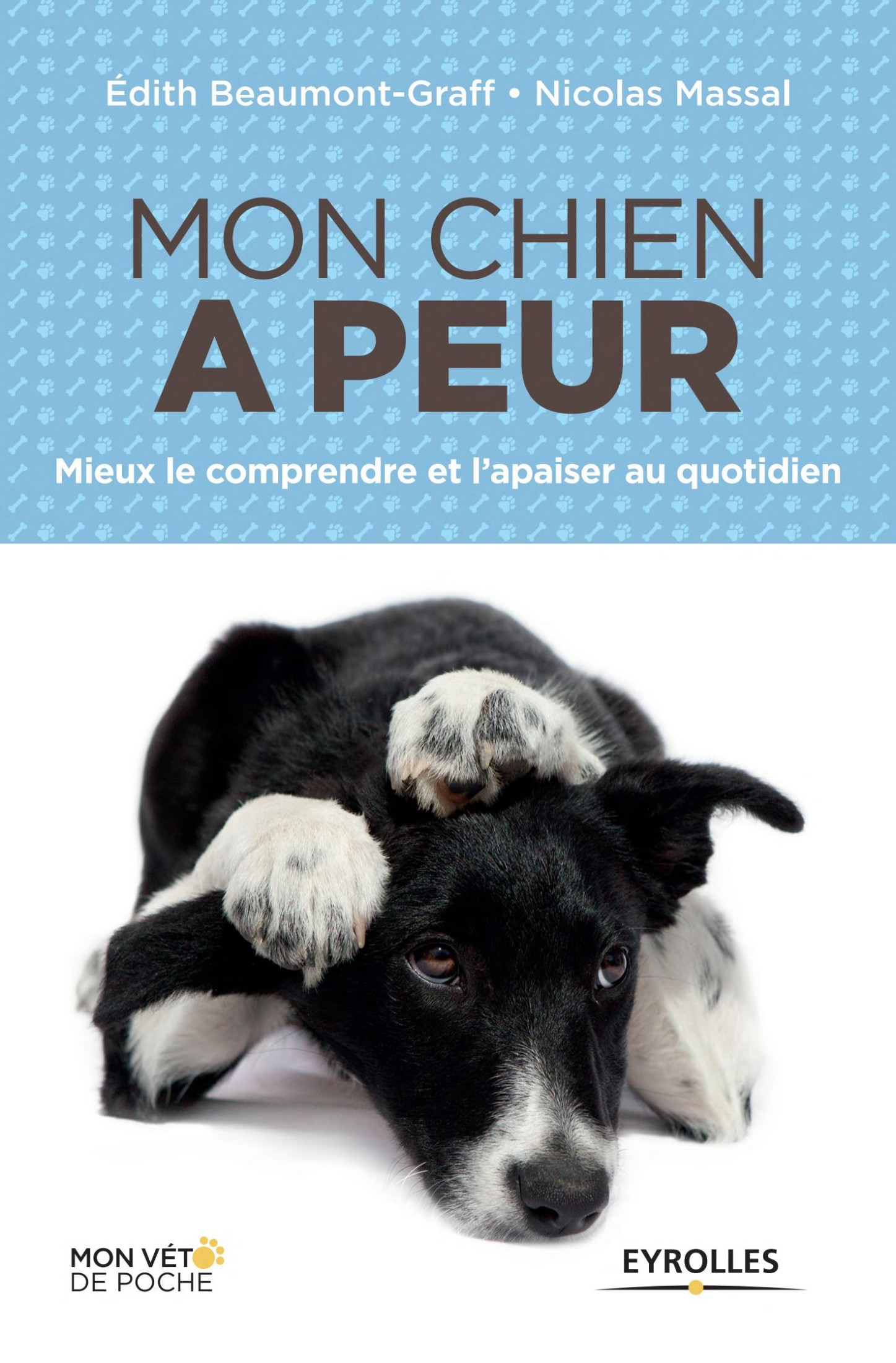 Mon chien a peur : mieux le comprendre et l'apaiser au quotidien