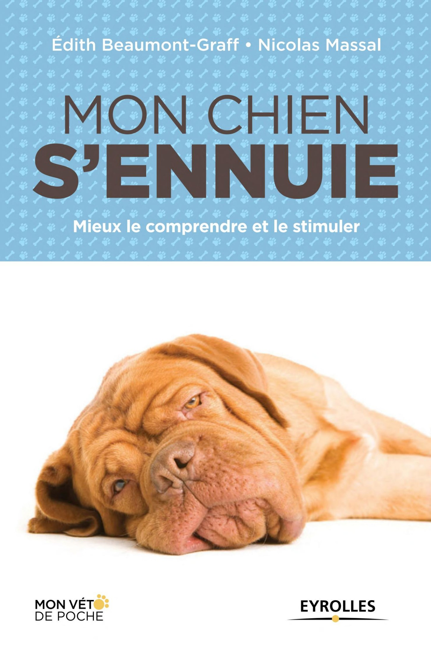 Mon chien s'ennuie : mieux le comprendre et le stimuler