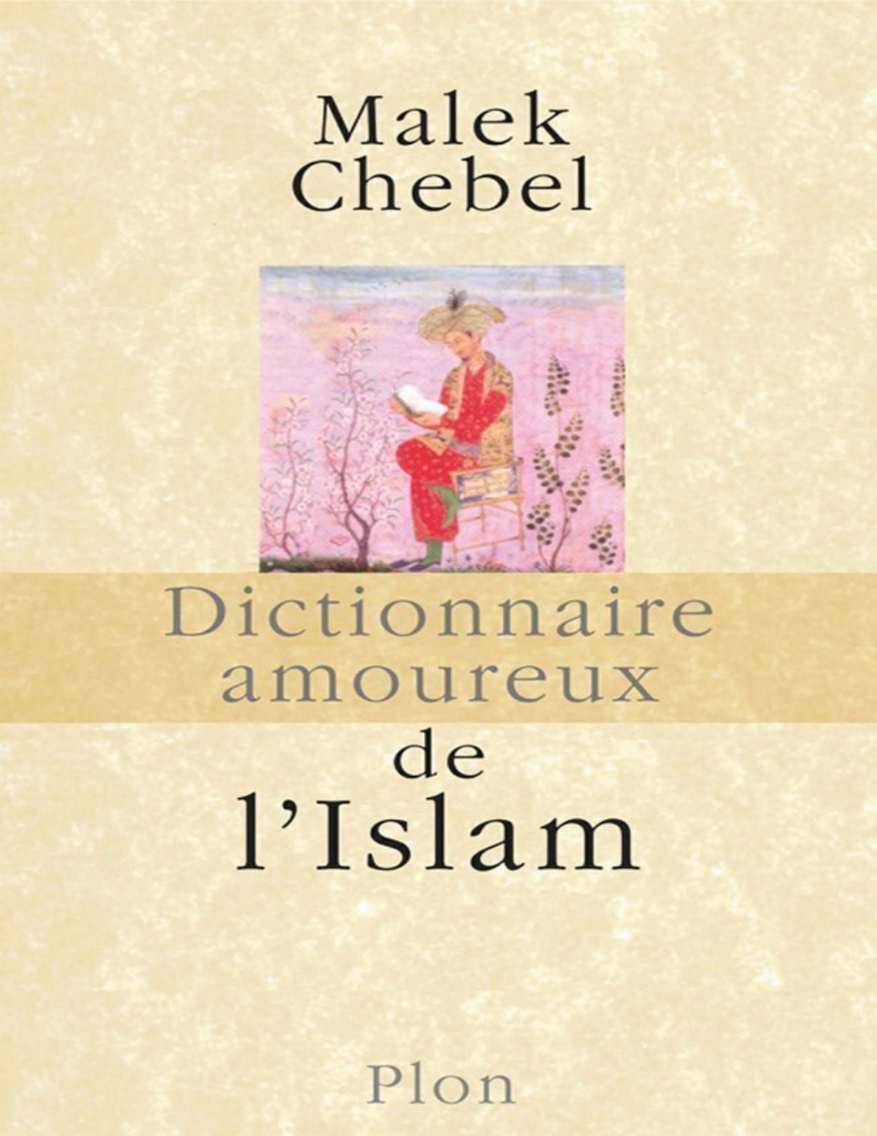 Dictionnaire amoureux de l'islam