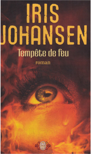 Tempête de feu : roman