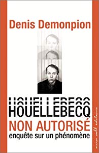 Houellebecq non autorisé. Enquête sur un phénomène