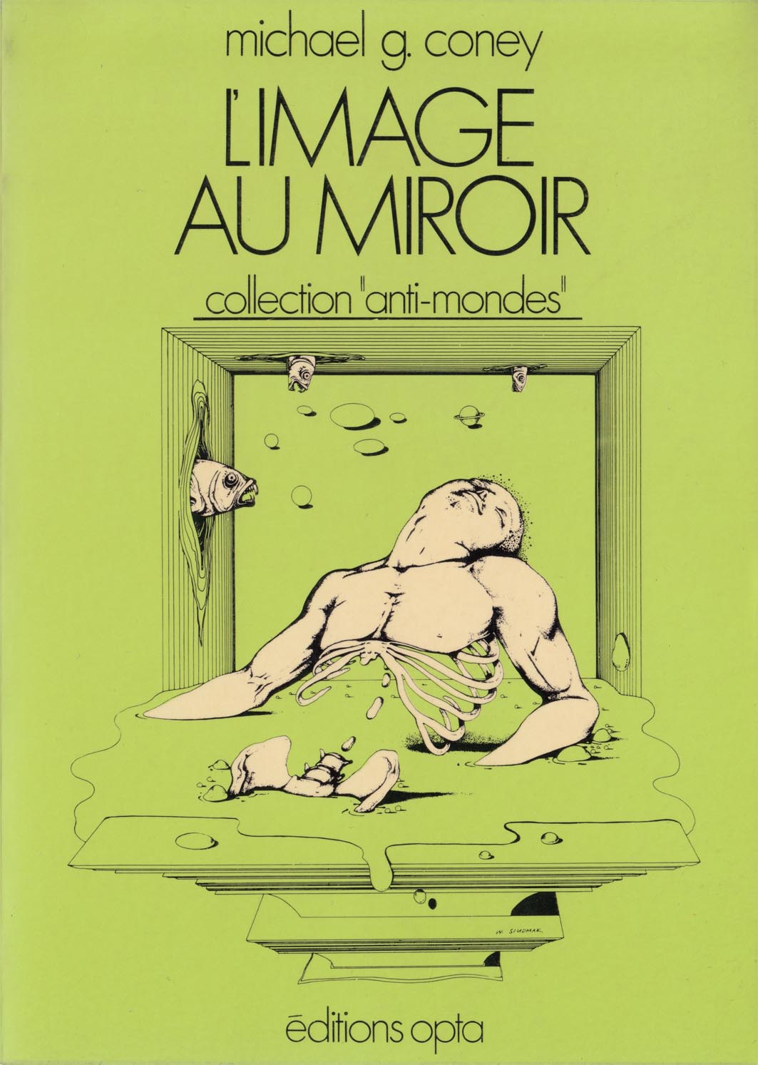 L'Image au miroir