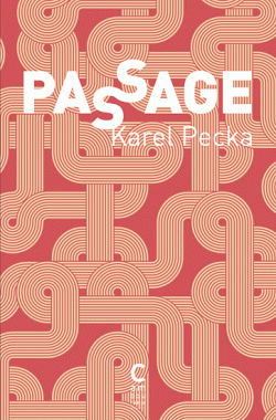 Passage : roman