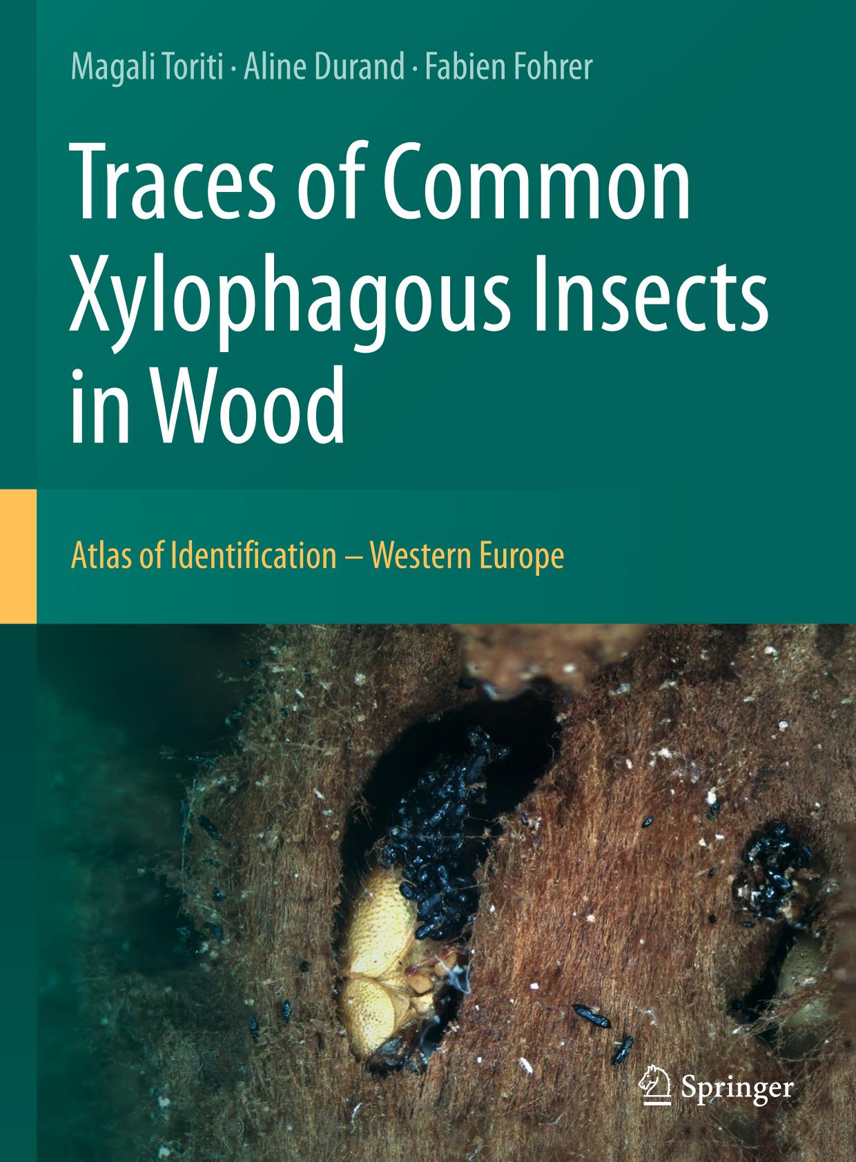 Traces of common xylophagous insects in wood : atlas of identification -- Western Europe