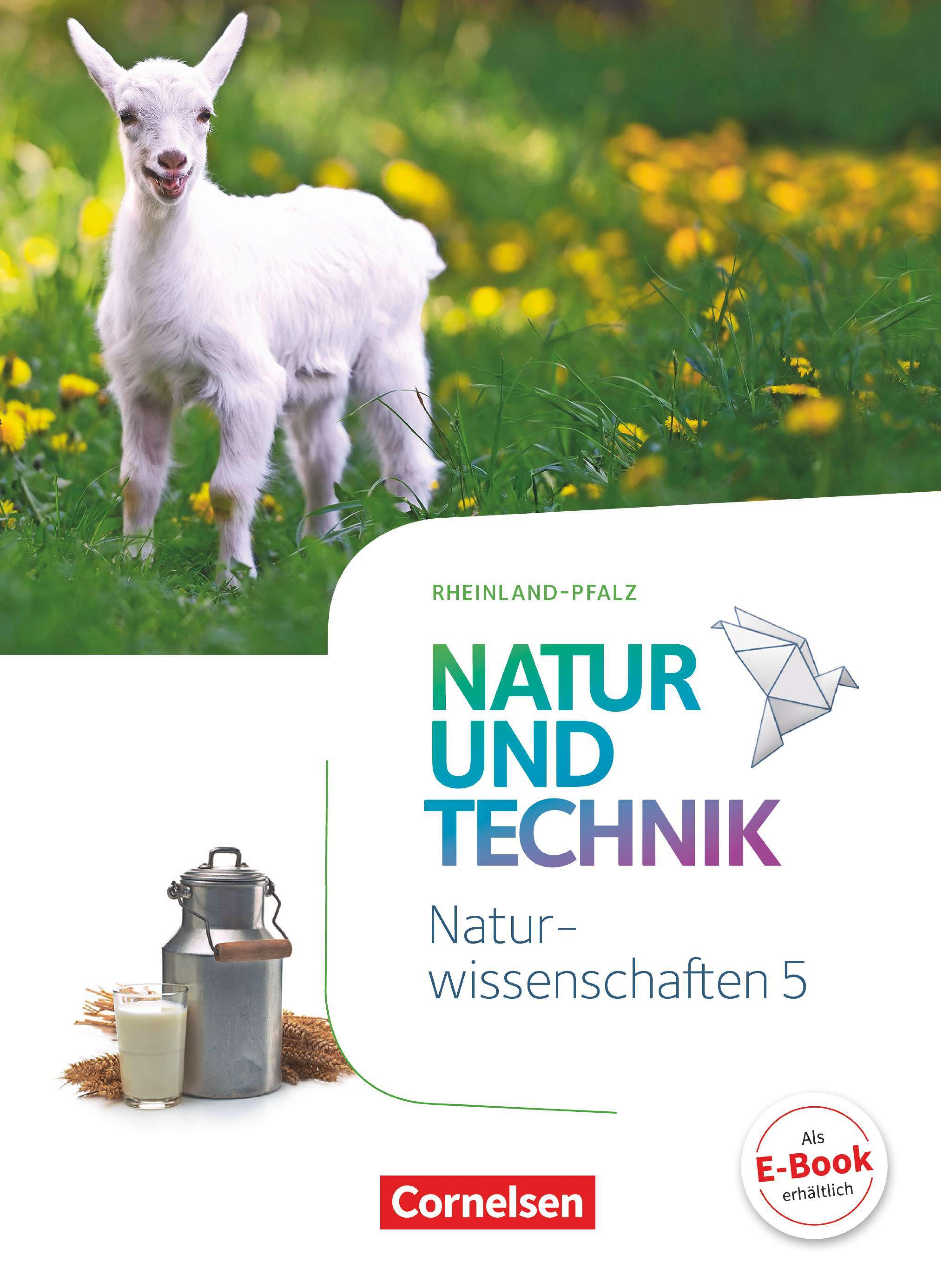 Natur und Technik, Naturwissenschaften - Rheinland-Pfalz 5 / Autorinnen und Autoren: Volker Abegg [und weitere]