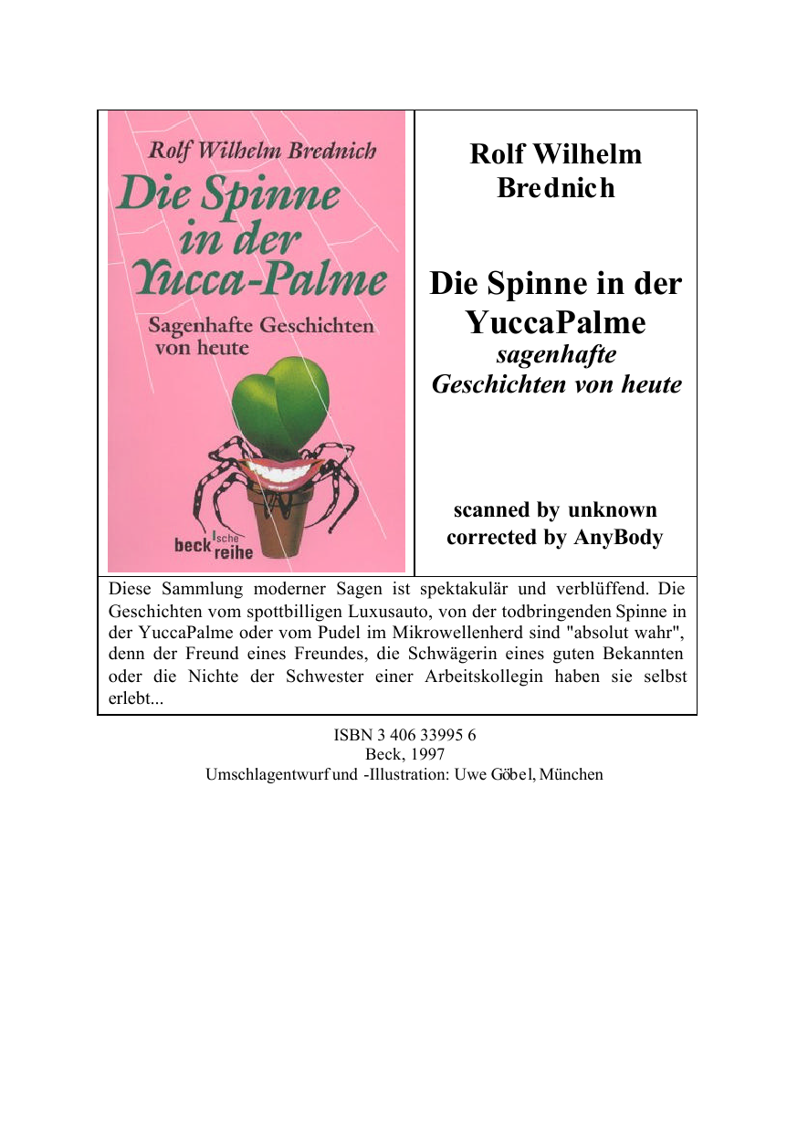 Die Spinne In Der Yucca Palme