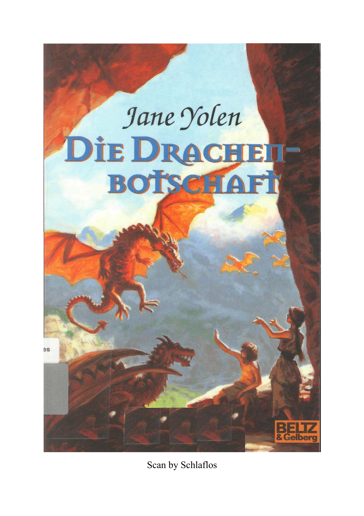 Die Drachenbotschaft