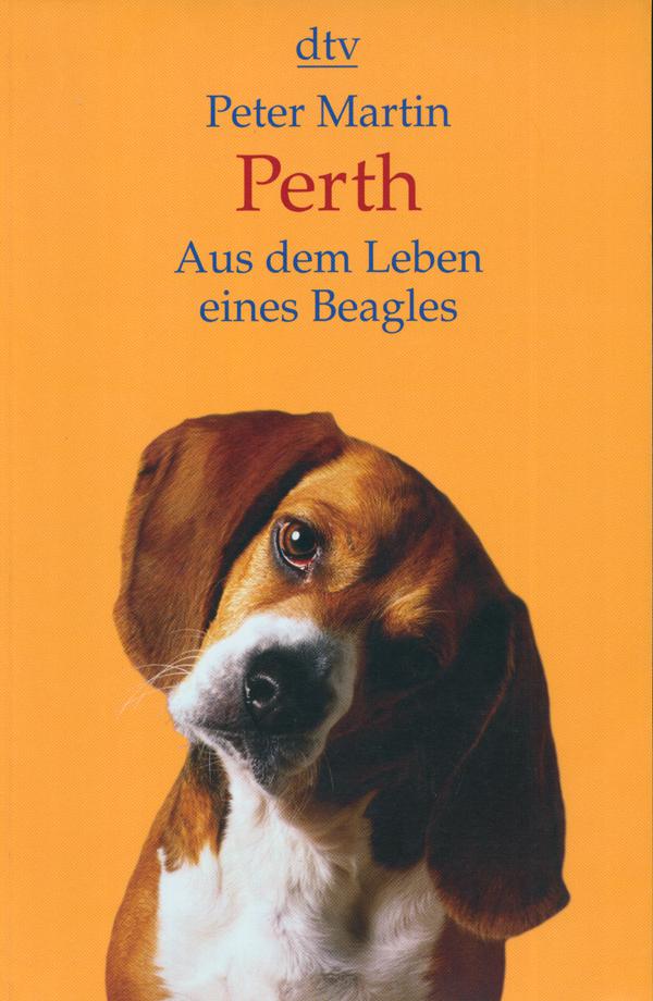 Perth aus dem Leben eines Beagles