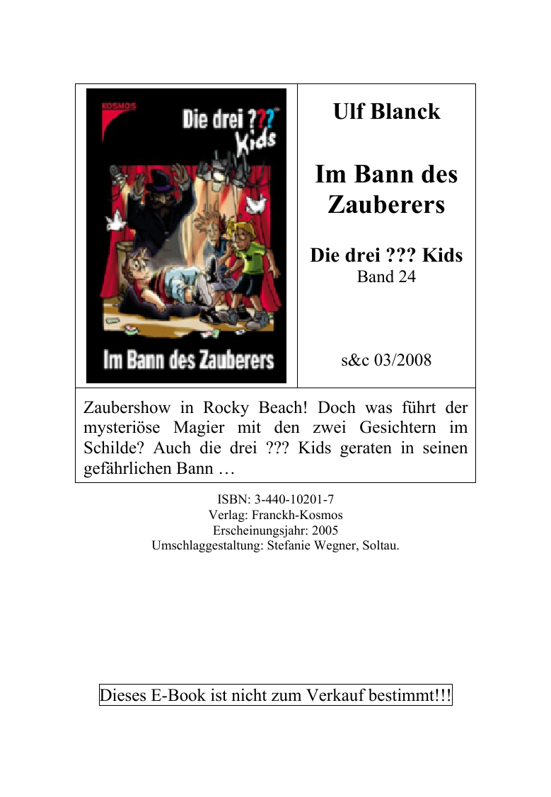 Im Bann des Zauberers (Die drei ??? Kids, #24)