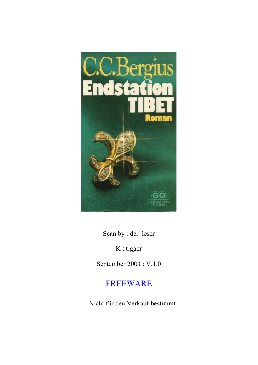 Endstation Tibet : Roman