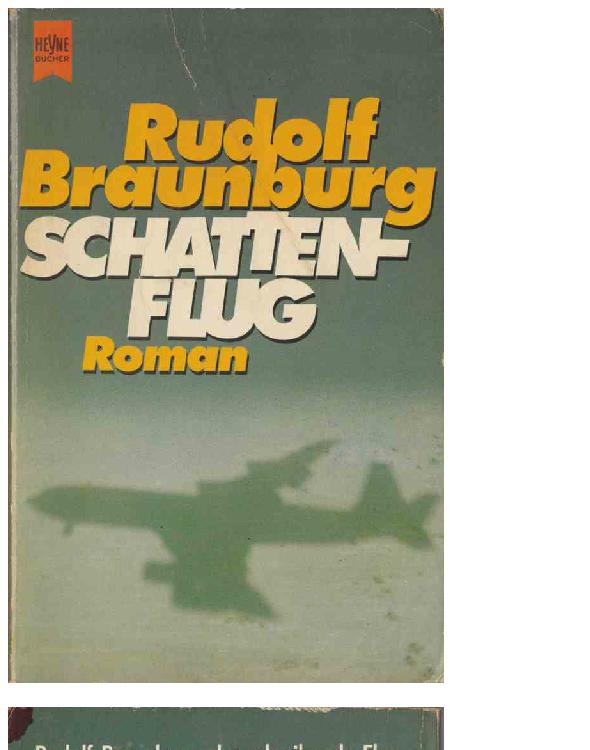 Schattenflug Roman