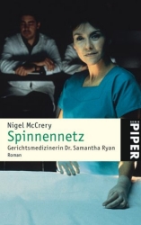 Spinnennetz 