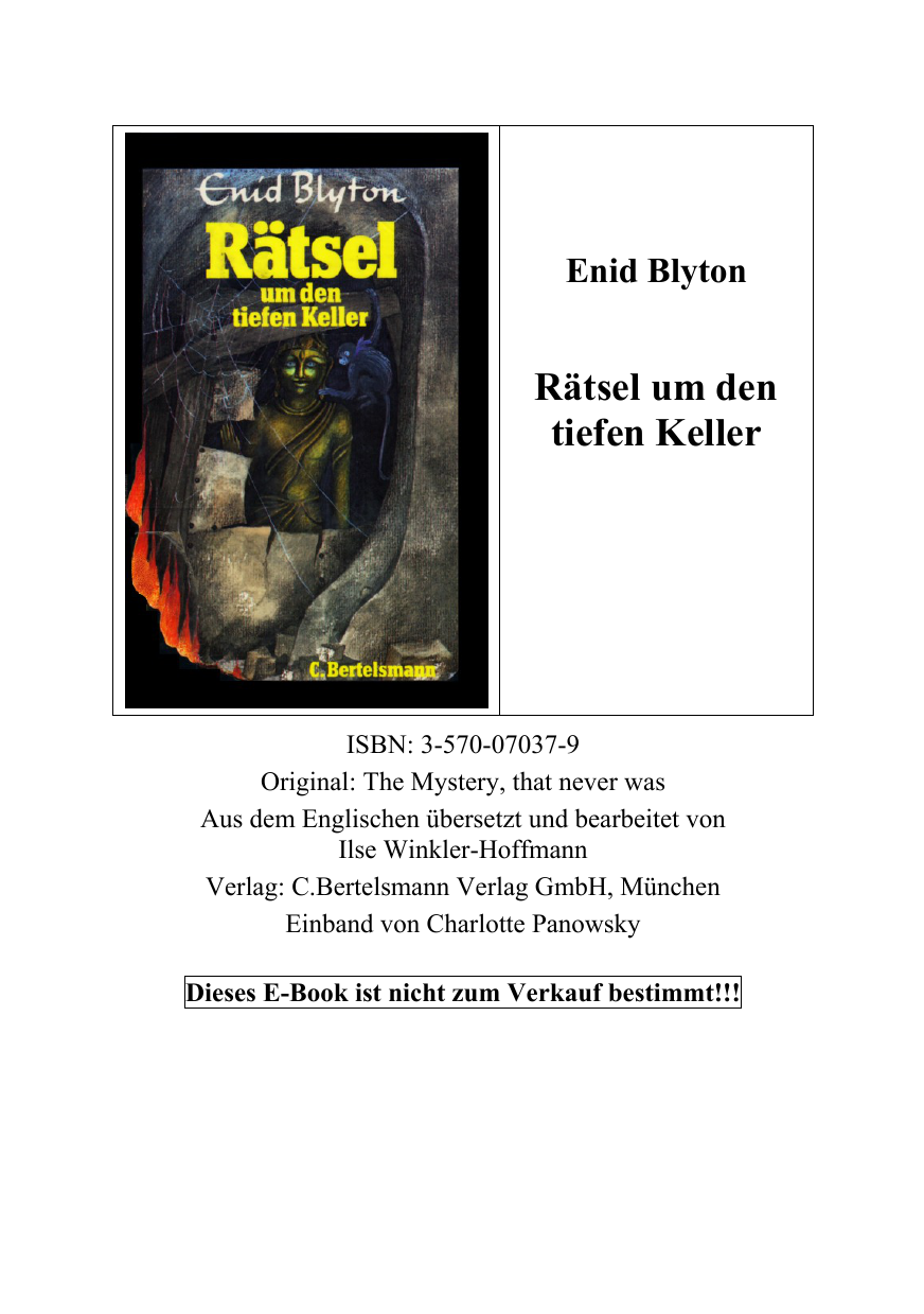 Rätsel um den tiefen Keller (Bd. 7).