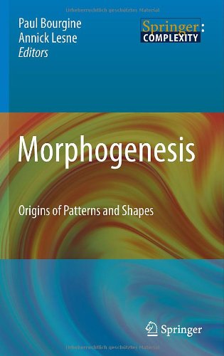 Morphogenesis