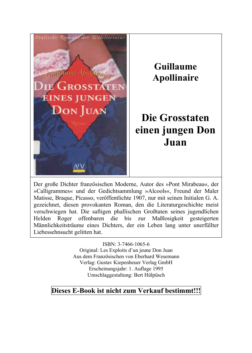 Die Grosstaten eines jungen Don Juan [Roman]