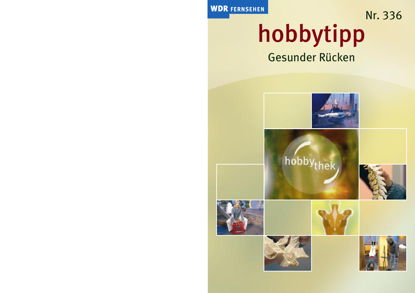 Hobbythek. Gesunder Rücken. Konkrete Probleme   Praktische Hilfe