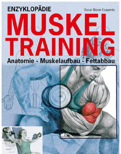 Enzyklopädie Muskeltraining