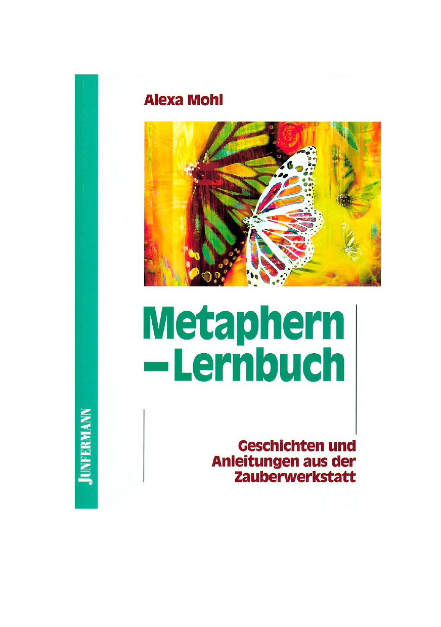 Das Metaphern Lernbuch